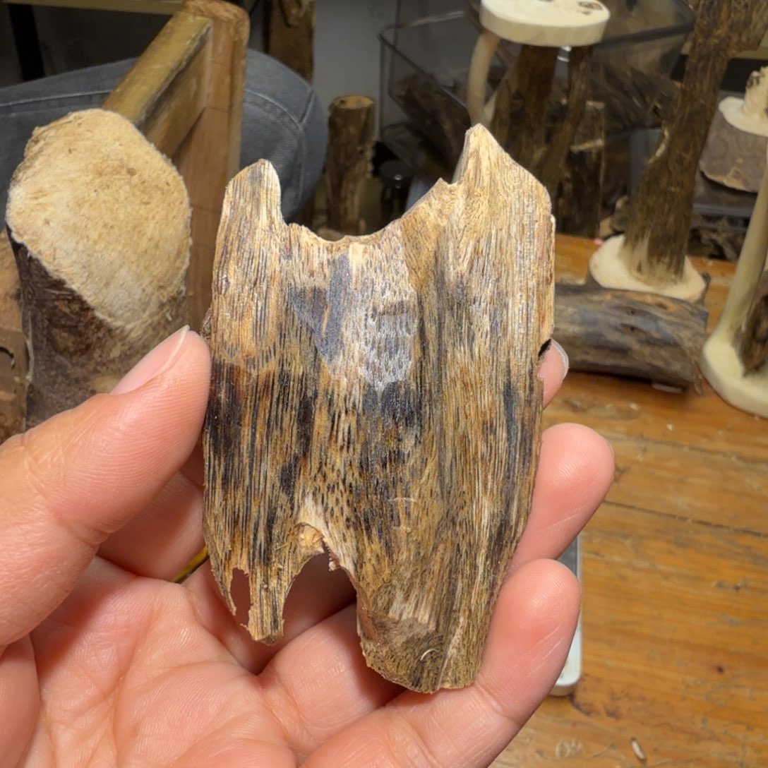 棋楠沉香白奇块料13k