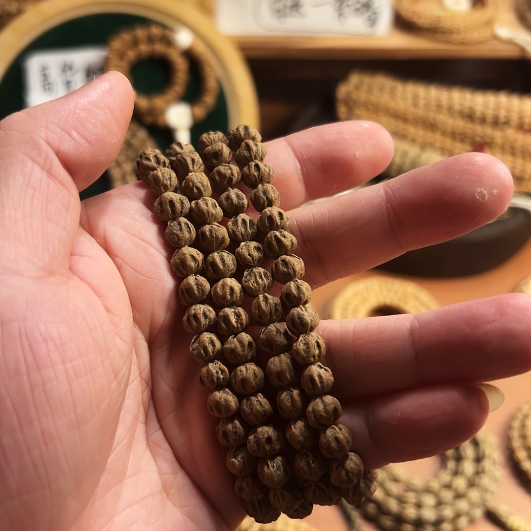 吊坠柏香籽/百香籽热振对眼尸坨林