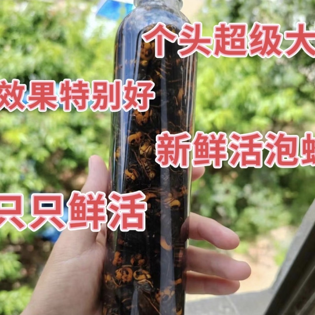 现抓现装金环虎头蜂诱蜂水原材料一瓶100只装