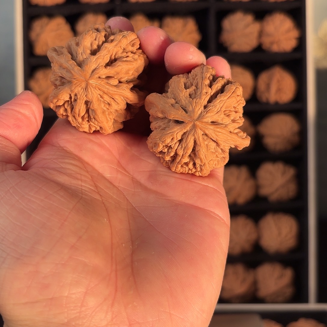 一***一核桃手串/手链55555