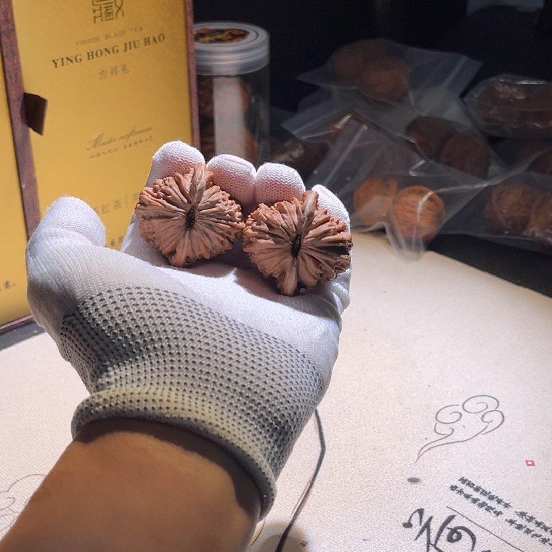 夜***、楼子楼子楼子楼子 