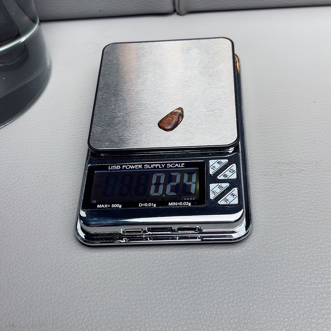 惠安惠安惠安惠安