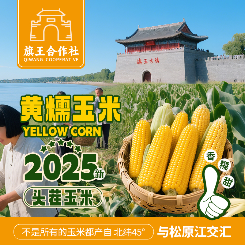 25年头茬新玉米】黄甜糯玉米大棒（250-350g）旗王合作社主产区