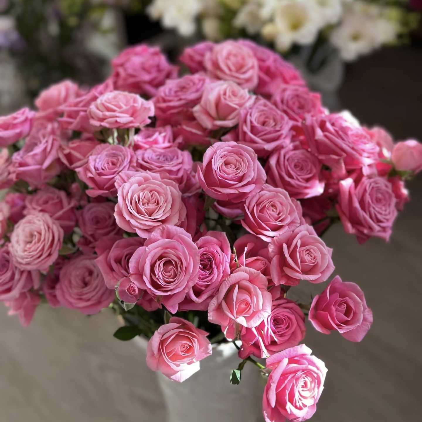 三岁花集--俏夕阳多头玫瑰艾琳（一单顺丰冷链三单顺丰空运）