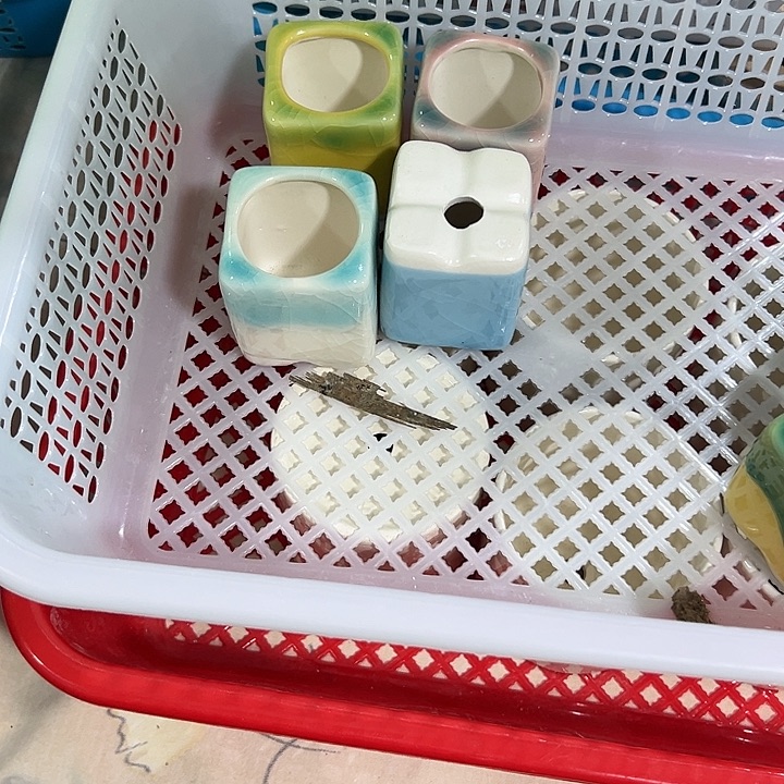 微瑕陶瓷花盆满9.9发