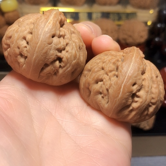 精品霸王龙全品无