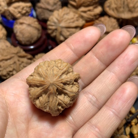 核桃奉****n三棱单只一个