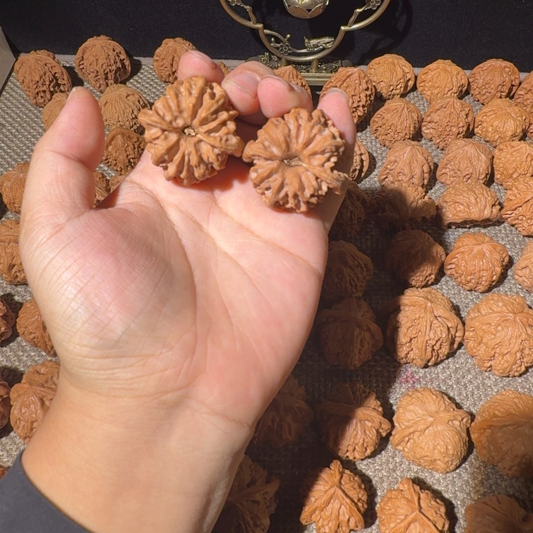 H***H非洲紫檀（红花梨）把件大龙