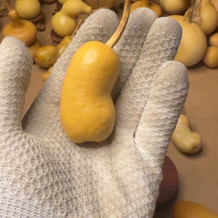 山****葫芦111111111111111