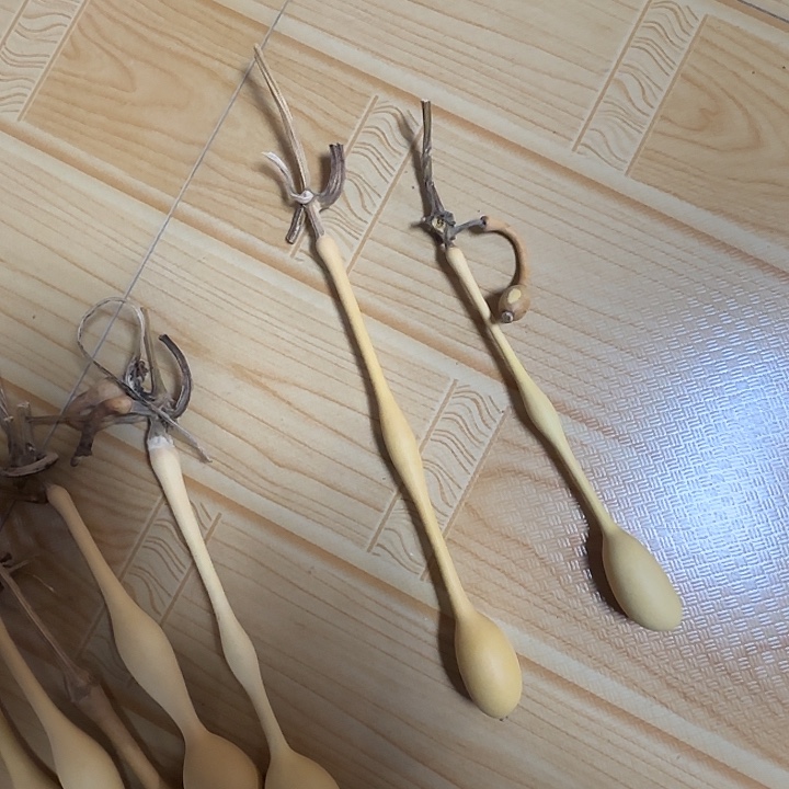 无***常精品葫芦柏人优选