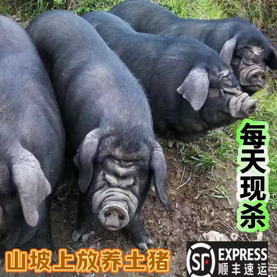 【1号链接恩施土猪肉现称】恩施跑山土猪肉现称（恩施土猪）冷链包邮