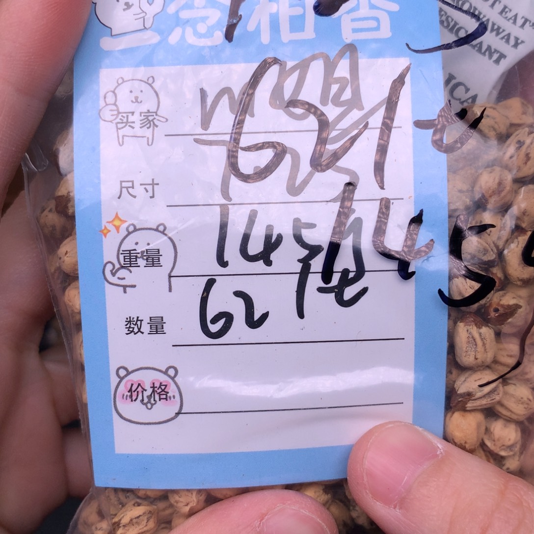 M***m柏香籽/百香籽吊坠