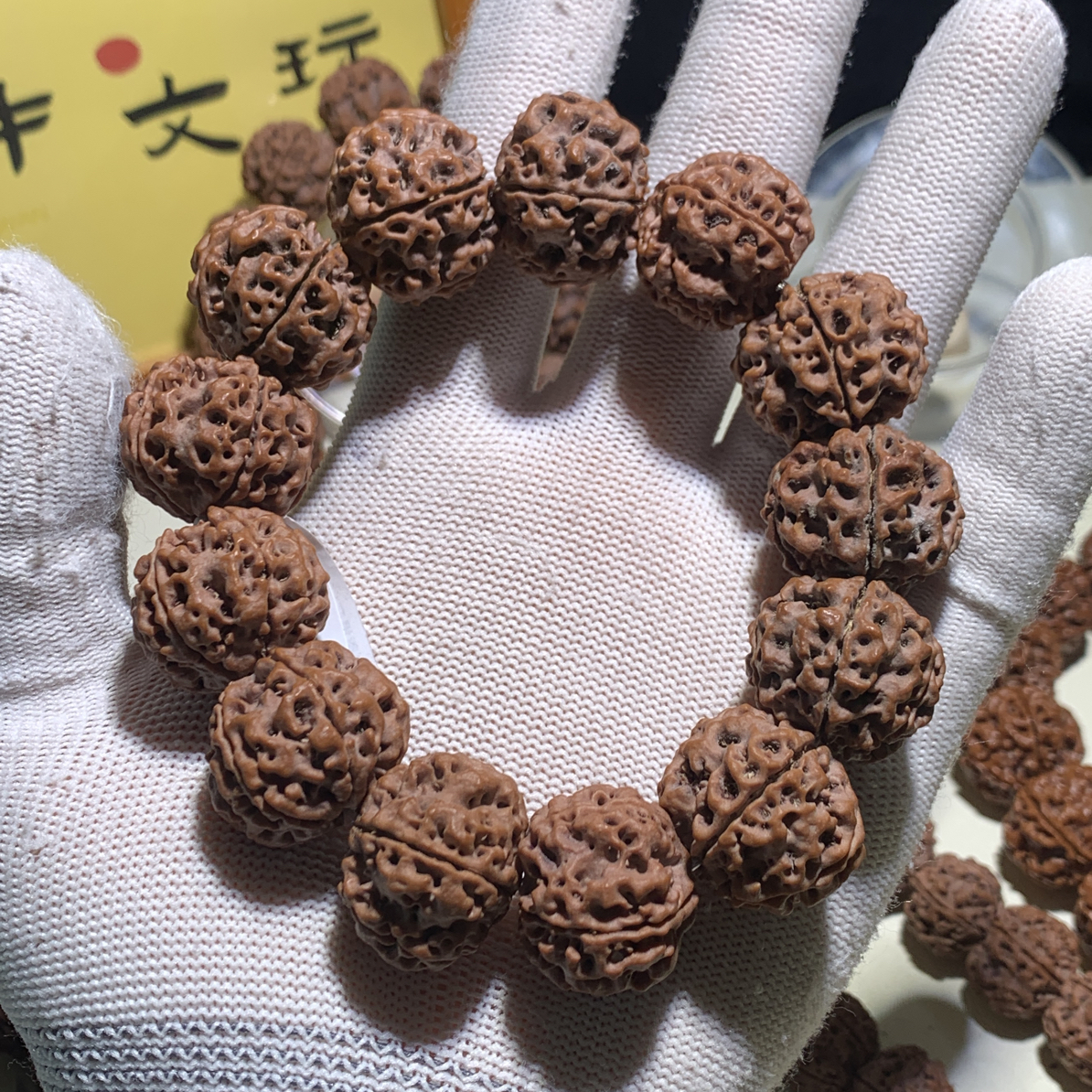 【毕业高货】尺寸23大，古龙蜂王，红皮老籽