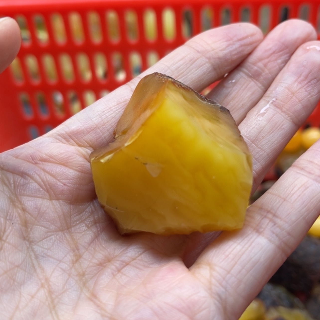 【闪购商品】未镶嵌定制琥珀天然琥珀蜜蜡原石定制