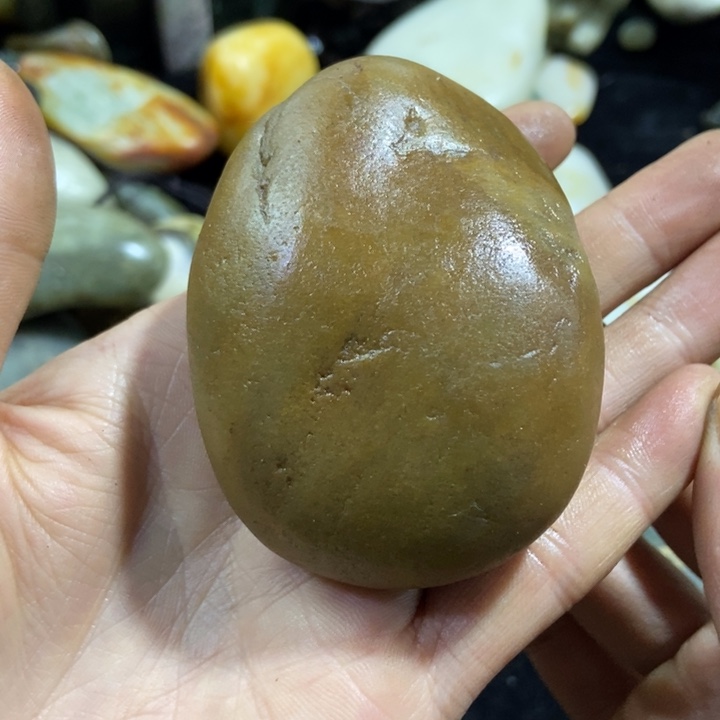 和田玉（糖玉）颈饰未镶嵌