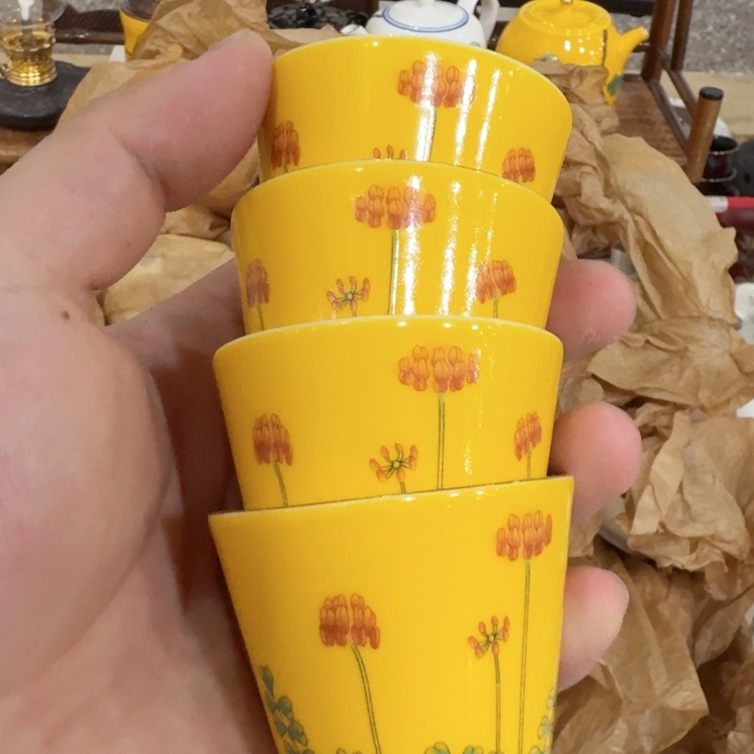 杯你好漂亮528535588541