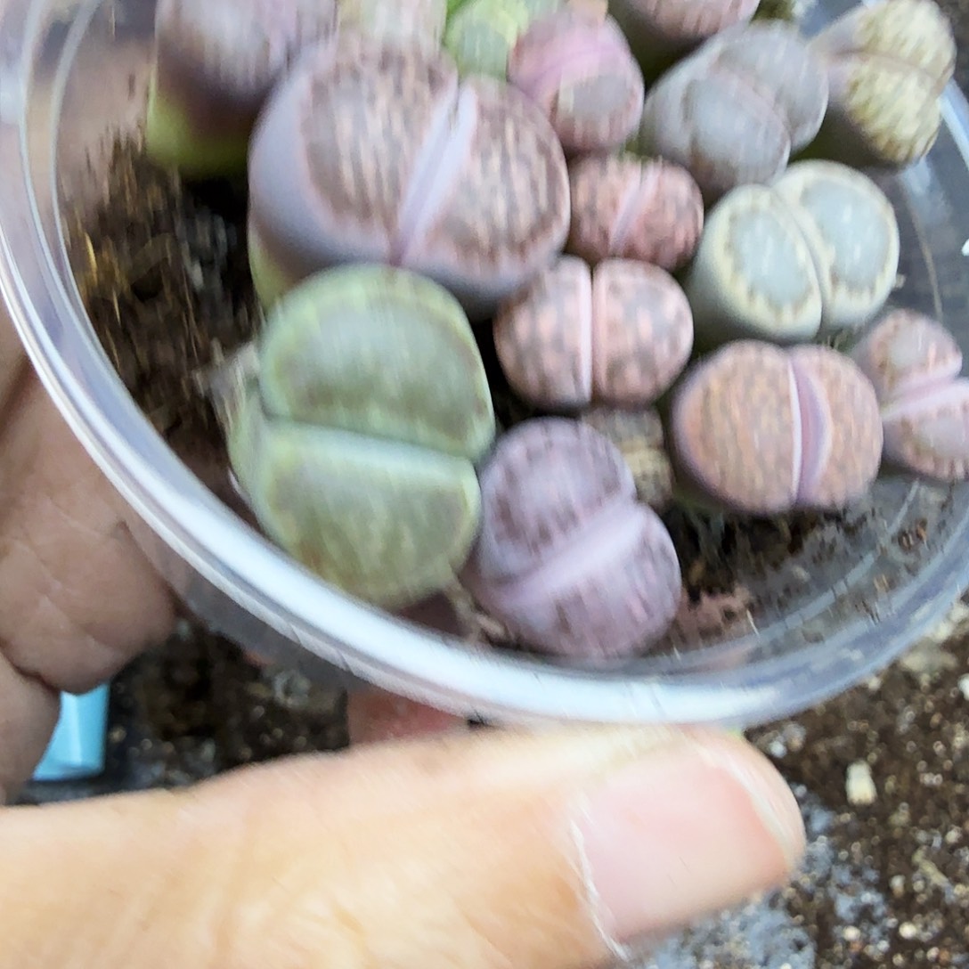 是不是很喜欢这个风格哟这个102