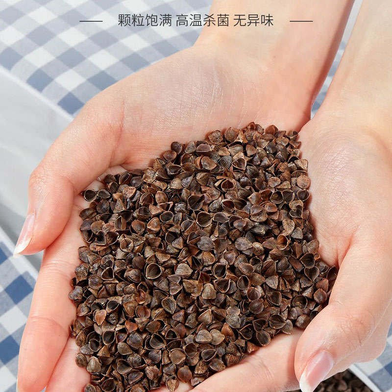 俄罗斯进口甜荞麦壳决明子枕头