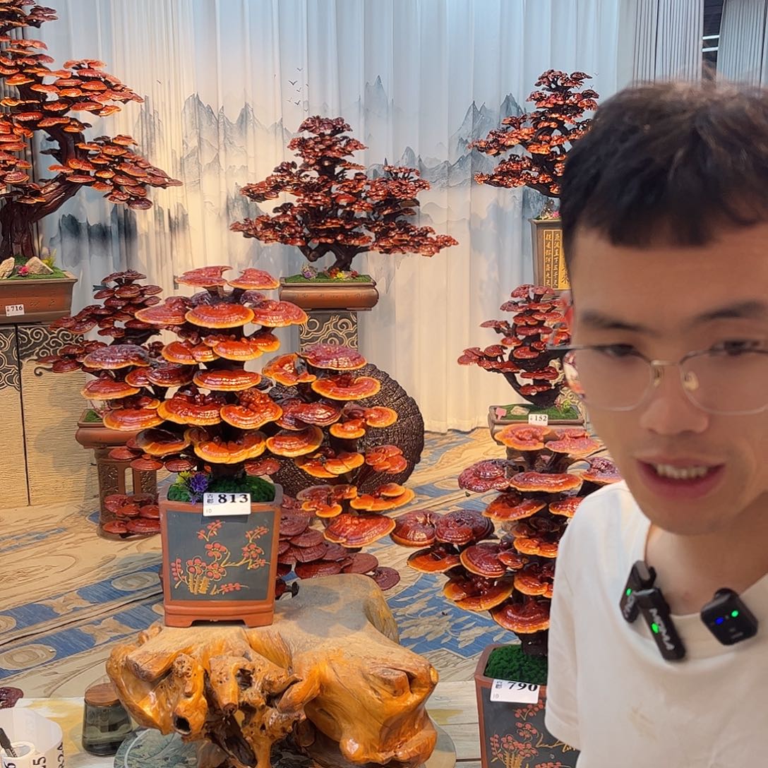 洋***油无花朵88888888888