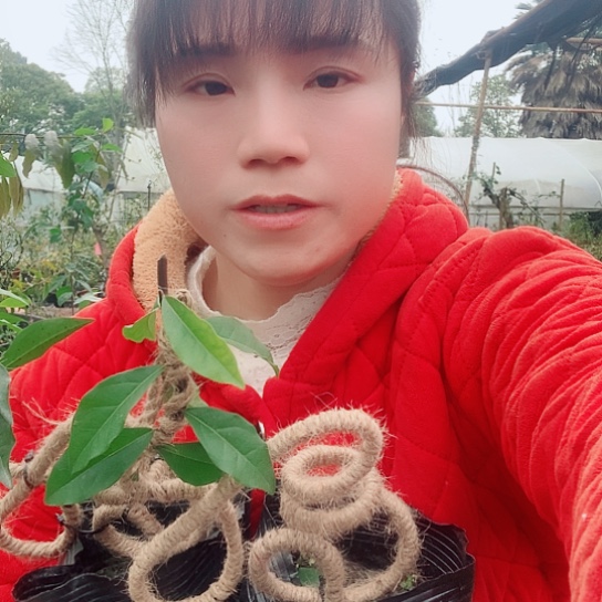 无花朵金弹子福字两个