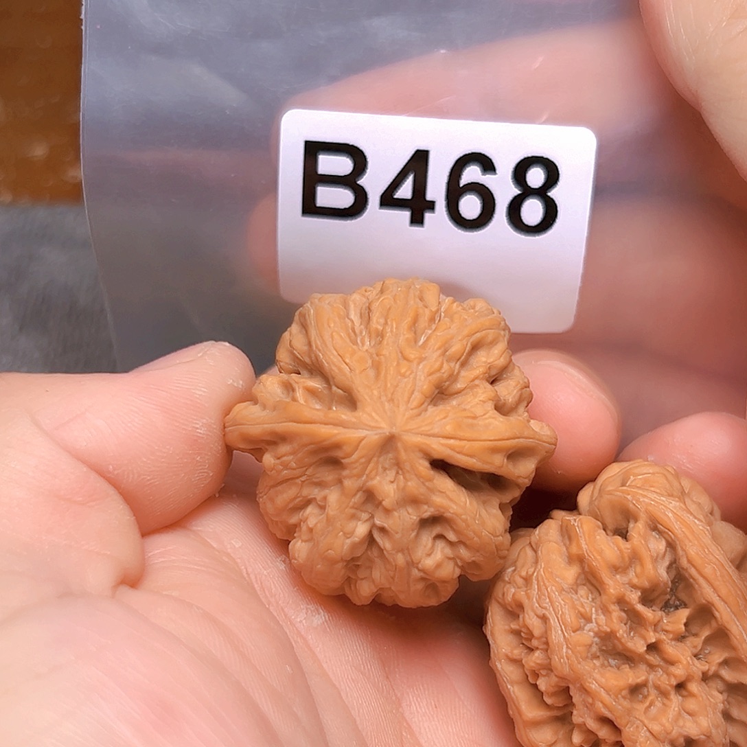 文玩核桃吊坠38大粗筋
