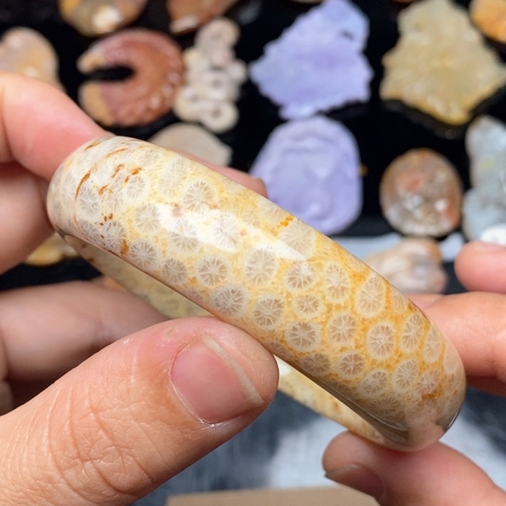 硅化珊瑚（珊瑚玉）手镯未镶嵌59