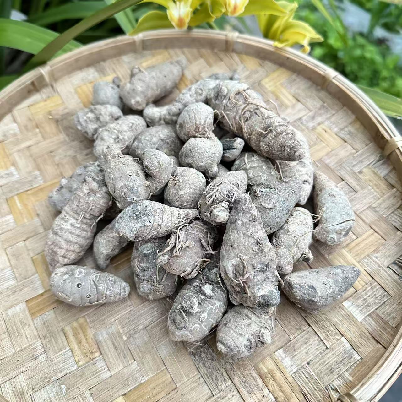 1【雪-三-七】净含量;250g-1000g【阿徐现收】枸