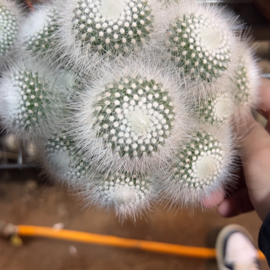 韩***宝哈哈哈哈哈哈哈哈哈哈哈哈