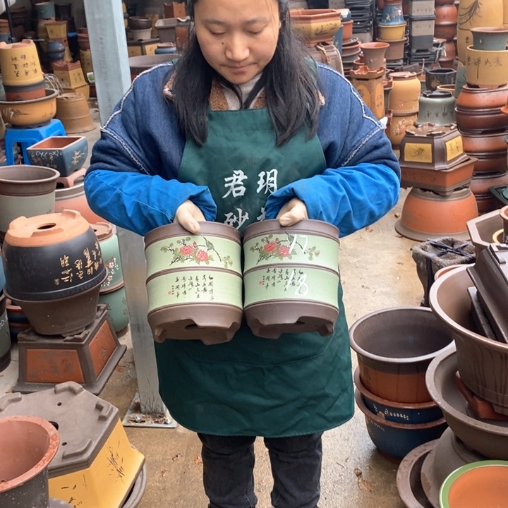 紫砂花盆盆栽花卉苗木种植