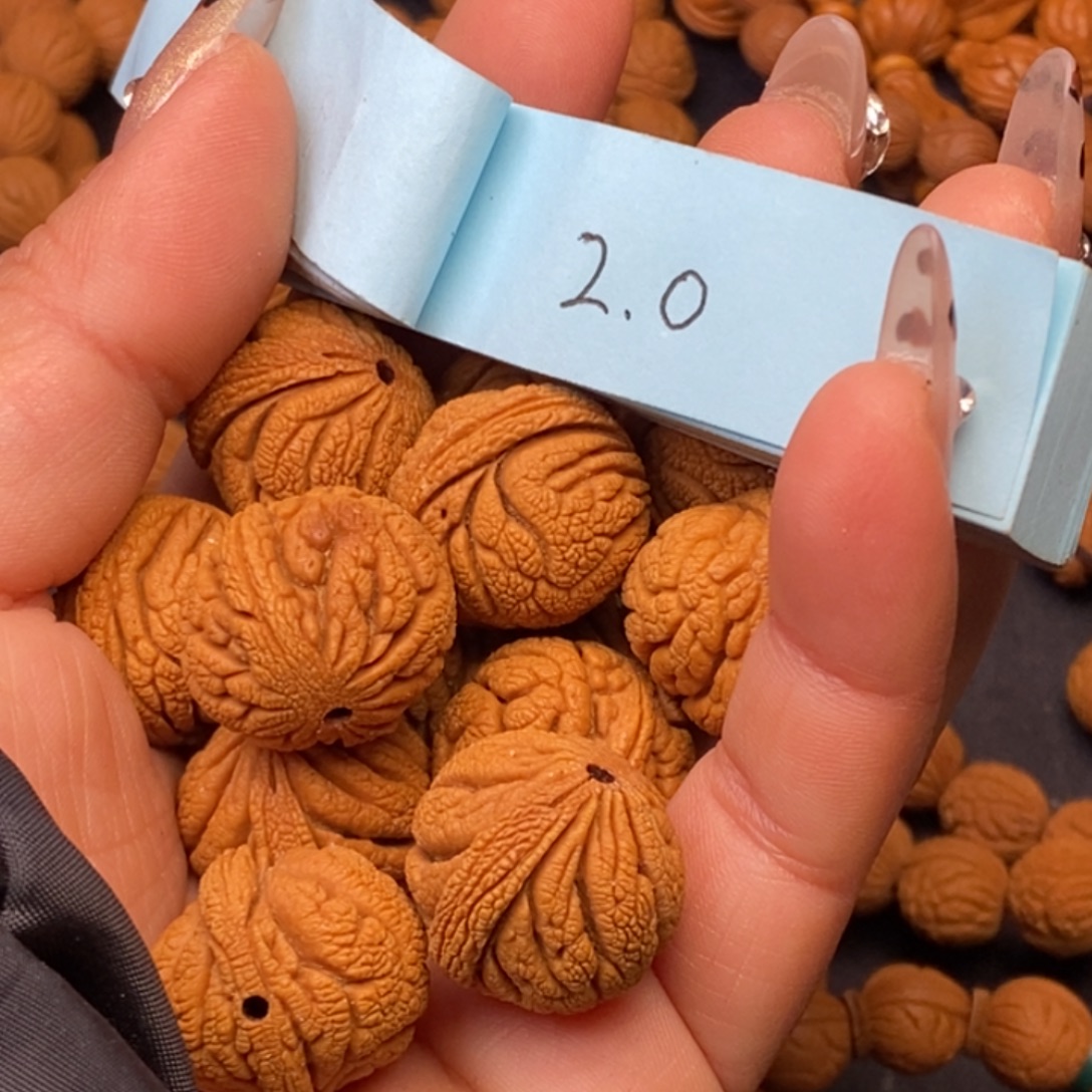 秦岭龙纹桃核13颗