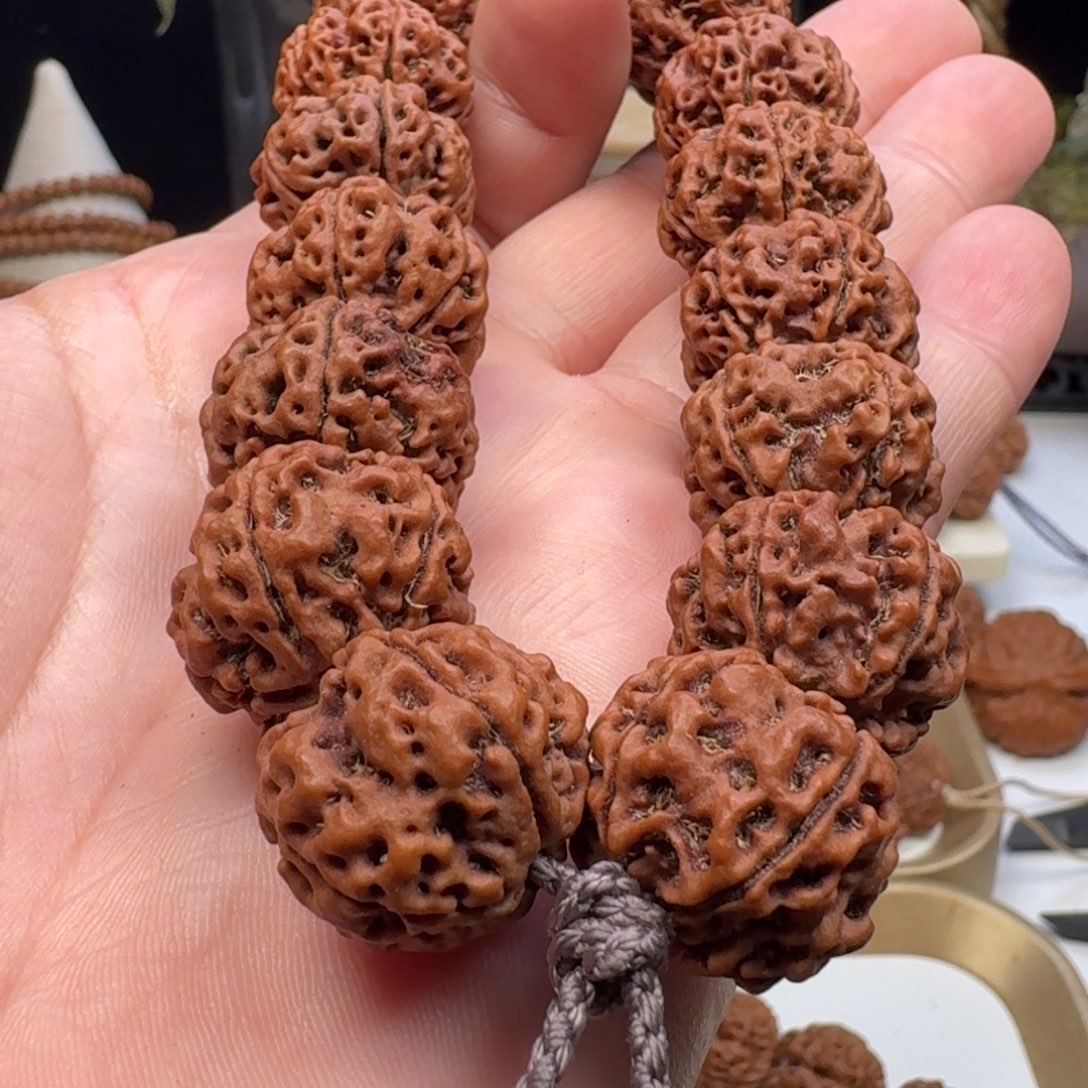 金刚菩提手串蜂窝双龙