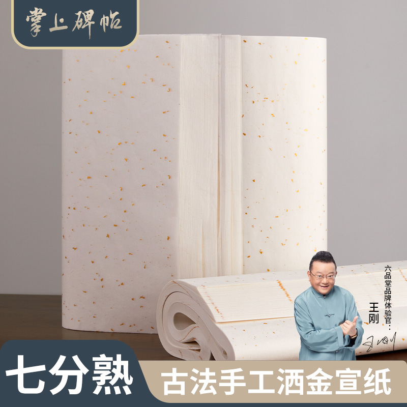 掌上碑帖【空白洒金宣纸】半生半熟宣纸书写书画专业四尺创作用纸