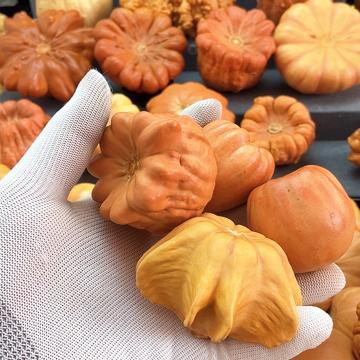 萍***g墨西哥葫微瑕不退不换？