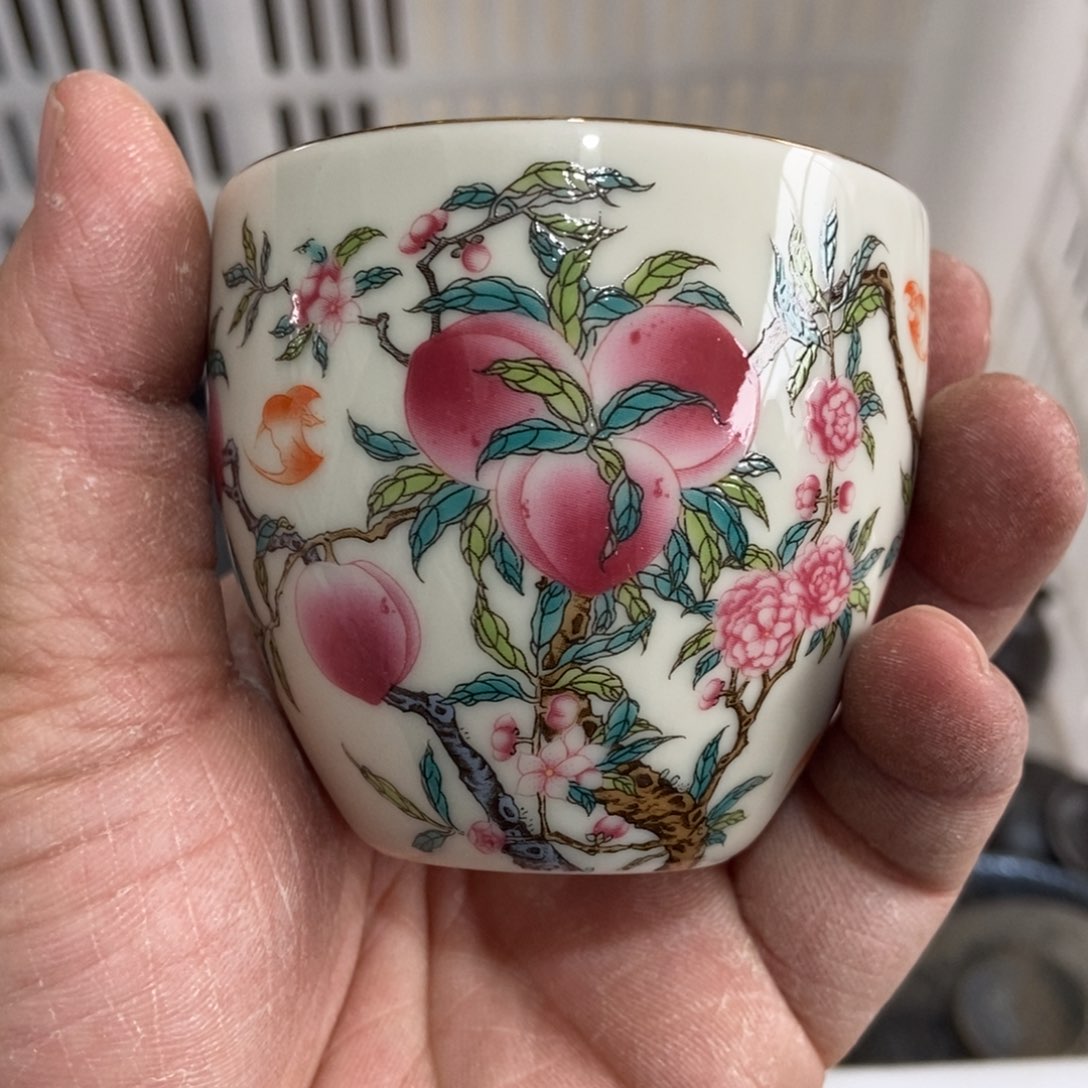 杯直播链接直播链接