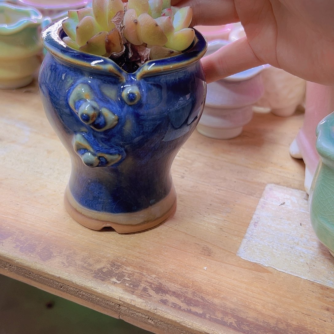 陶瓷花盆当场满12包邮