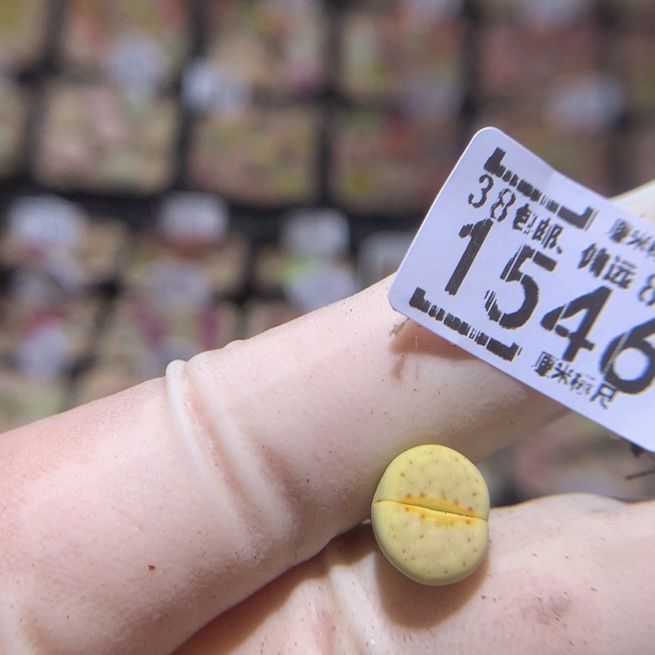 自*zzzzZzzz冲冲冲1546