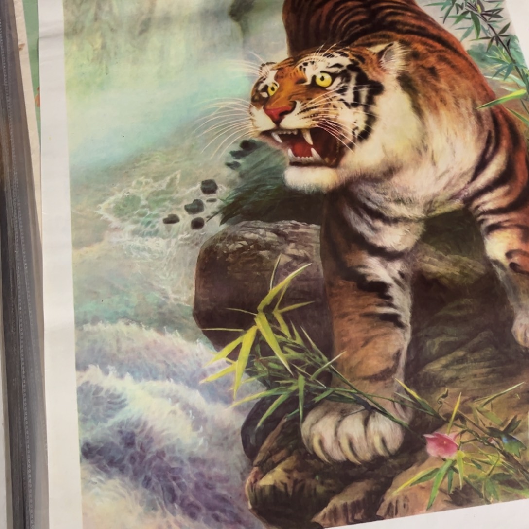 曾***经上山虎和下山虎两张民宿装饰