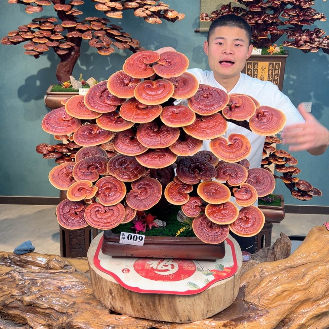 无花朵888888888888