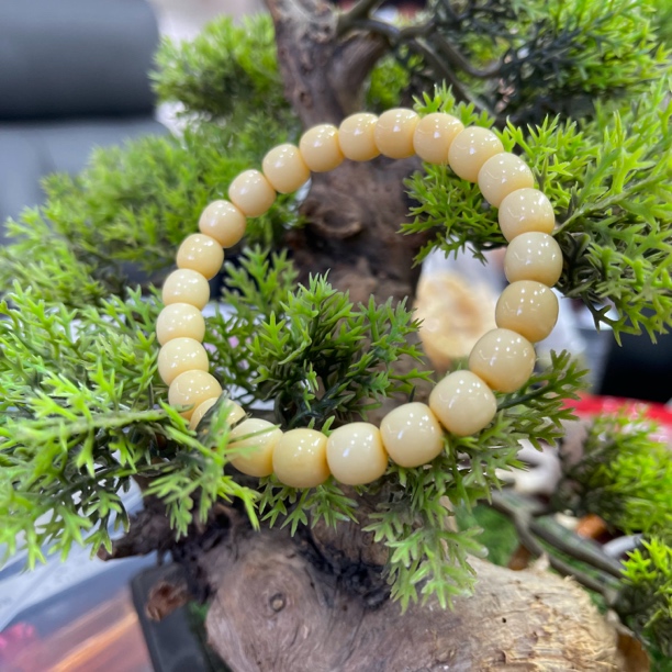 101骆驼牙手串老型