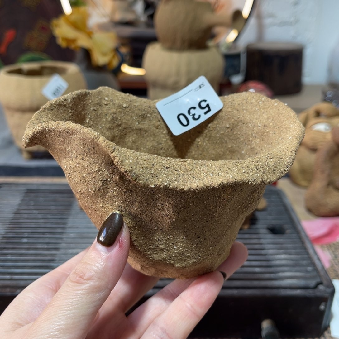 木村信弘柴烧保平