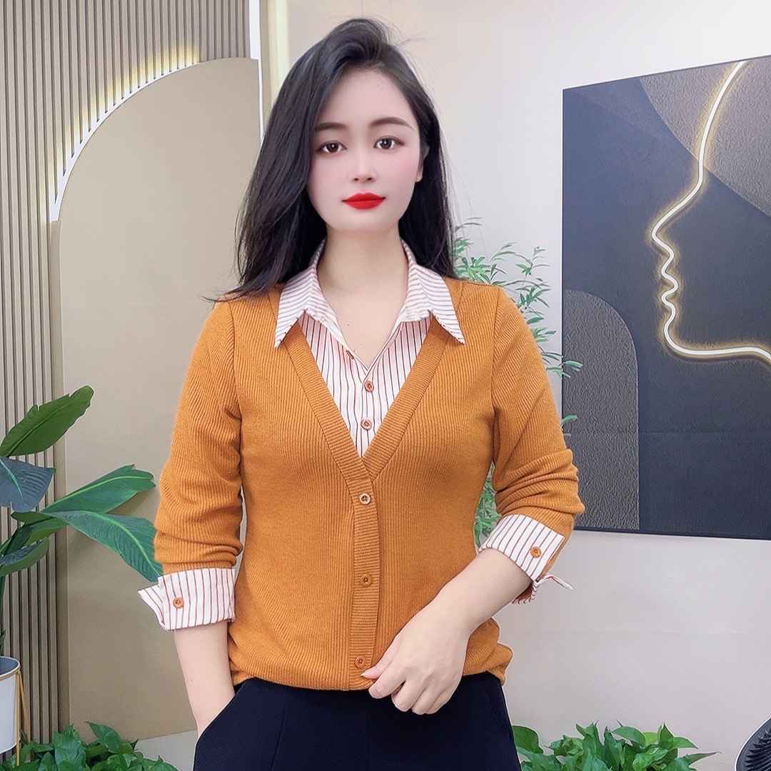 2025秋冬新款时尚百搭假两件长袖衬衫女修身洋气简约拼接条纹衬衣
