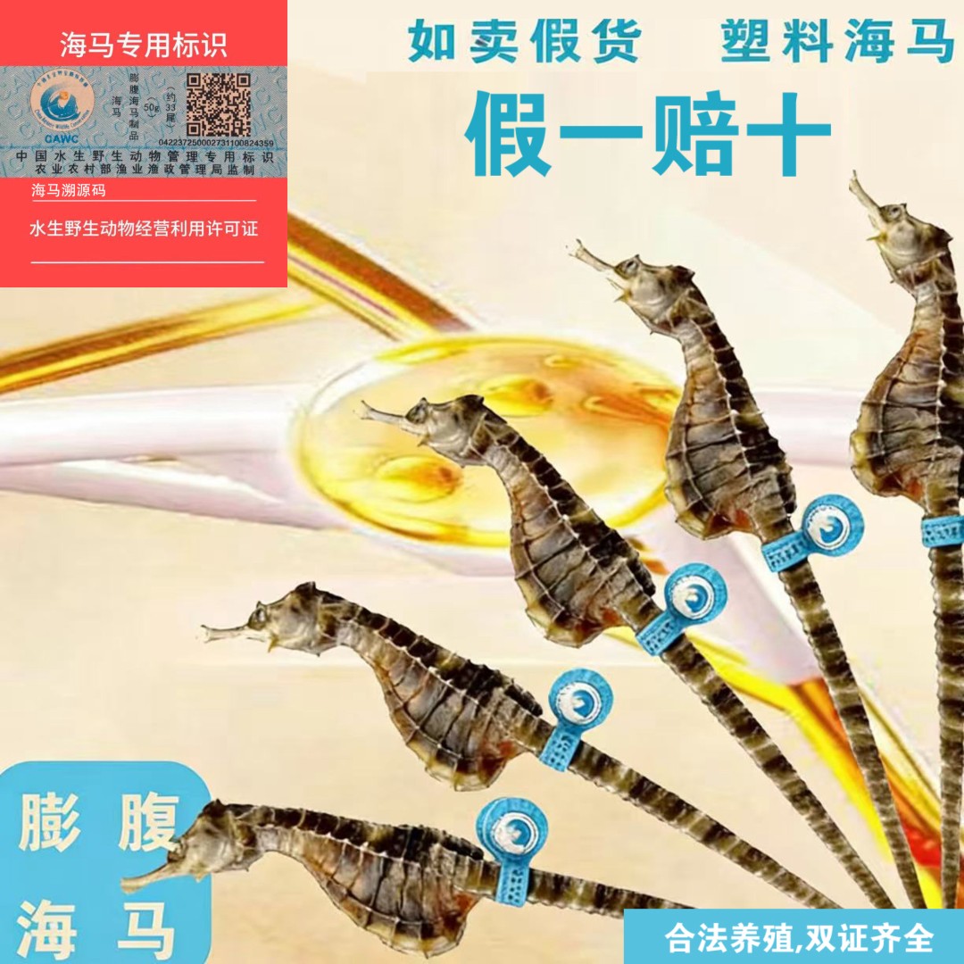 海马珍品干货生晒泡酒海马干货专用送礼佳品