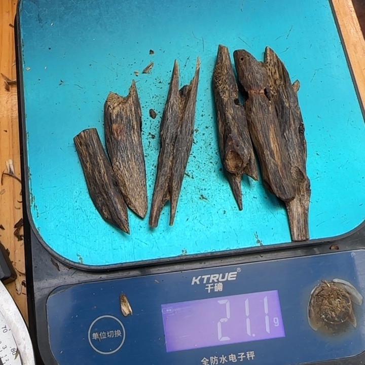 炎***坤沉香碎屑沉香棋楠紫罗兰块料20克