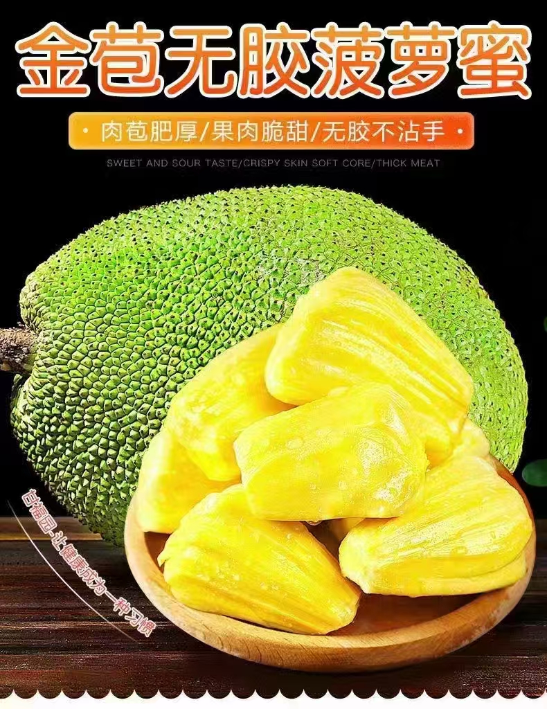 茂名化州张妈自家种植菠萝蜜（现摘先发)