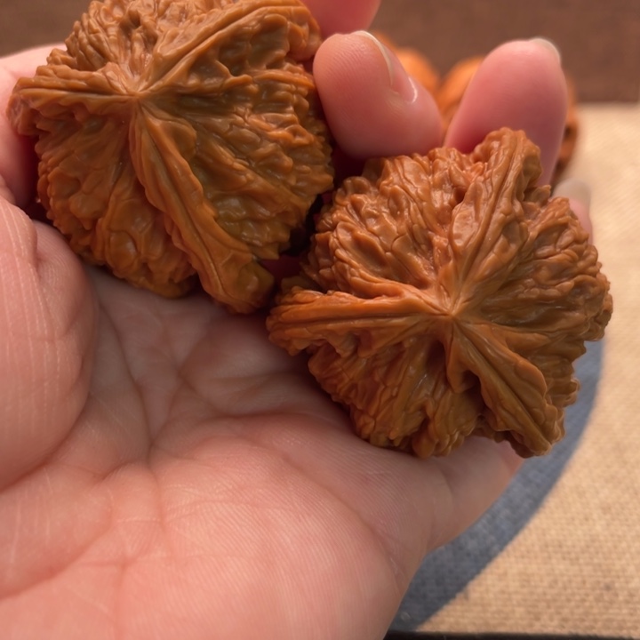 疯***士核桃白狮子41核桃