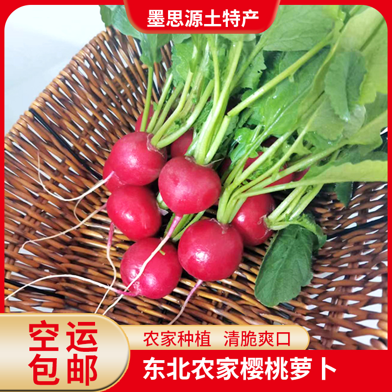 东北新鲜樱桃萝卜腌萝卜脆嫩水萝卜2斤蘸酱菜空运包邮