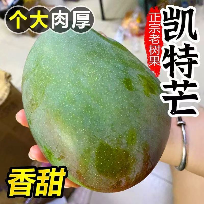 【催熟再吃】攀枝花凯特特大青皮芒果软糯香甜多汁青皮芒果生果发货