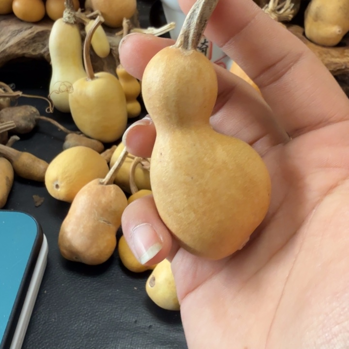 比***耶5…………………………………………