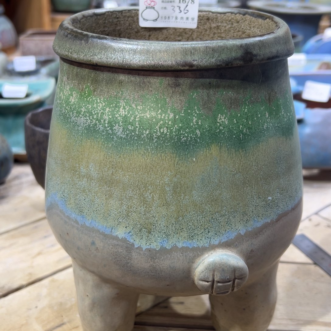 饼***饼精品盆1678盆盆盆盆盆