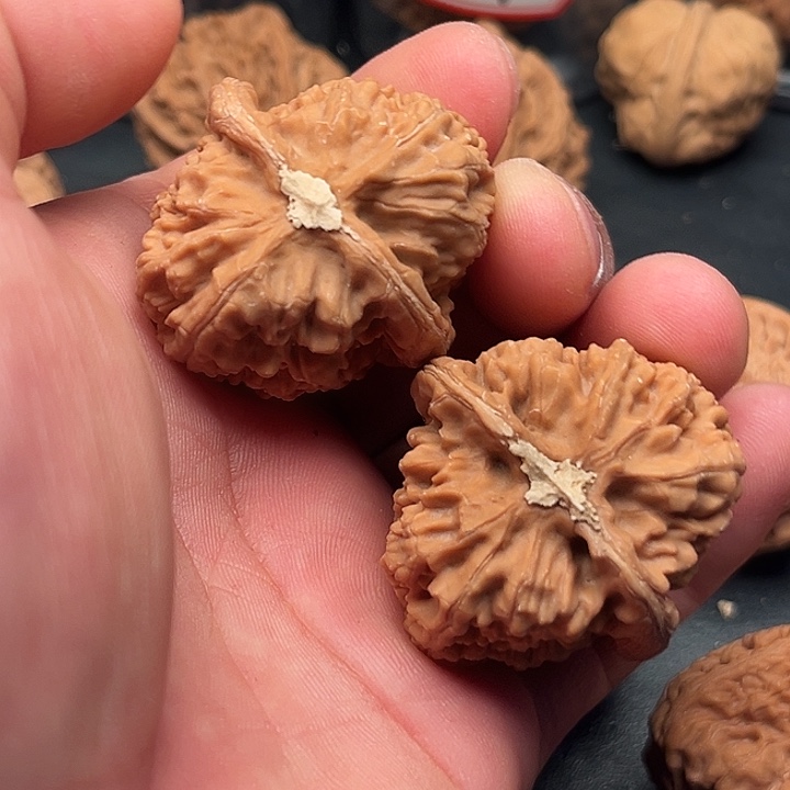 文玩核桃把件红莲